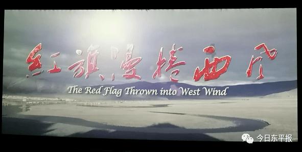 酸枣仁的功效与作用，你真的了解吗